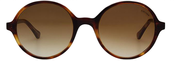 Light Tortoiseshell - Front