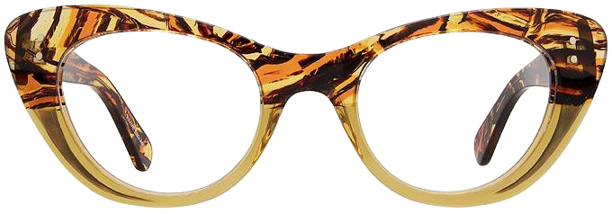 Brown Zebra - Front