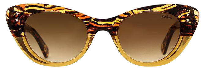 Brown Zebra - Front