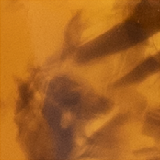 Amber Cloud Image