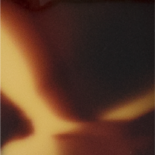 Amber Havana Image