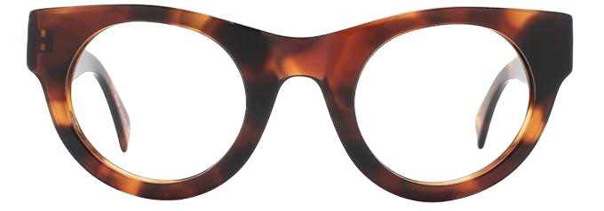 Light Tortoiseshell - Front