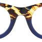 Zebra Tortoise - Front