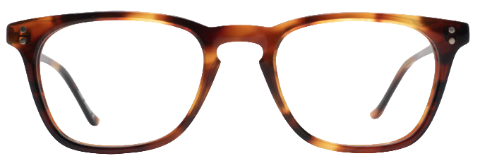 Light Tortoiseshell - Front