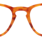 Shiny Marmalade - Front