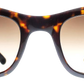 Dark Tortoiseshell - Front