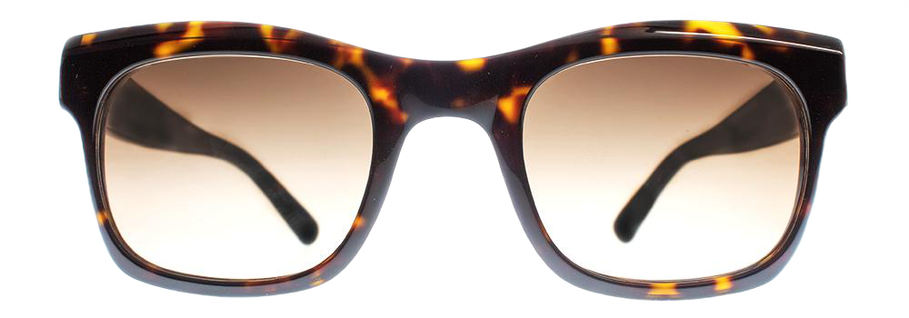 Dark Tortoiseshell - Front