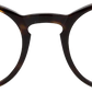 Dark Tortoiseshell - Front