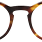 Light Tortoiseshell - Front