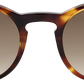 Light Tortoiseshell - Front