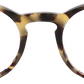 Matt Amber Havana - Front