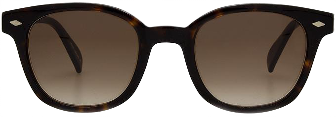 Dark Tortoiseshell - Front