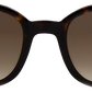 Dark Tortoiseshell - Front