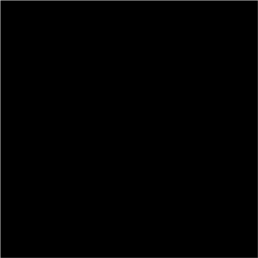 Black Image