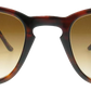 Light Tortoiseshell - Front
