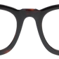 Light Tortoiseshell - Front