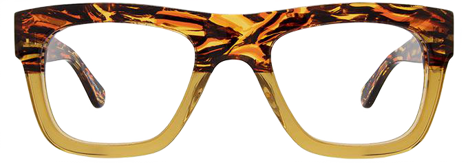 Brown Zebra - Front
