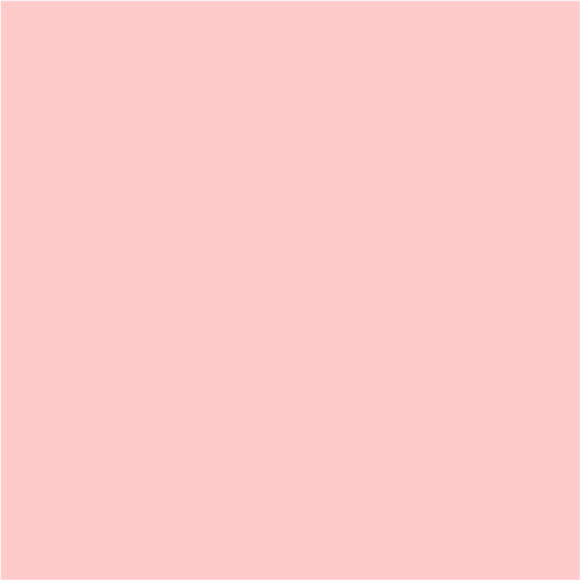 Carnation Image