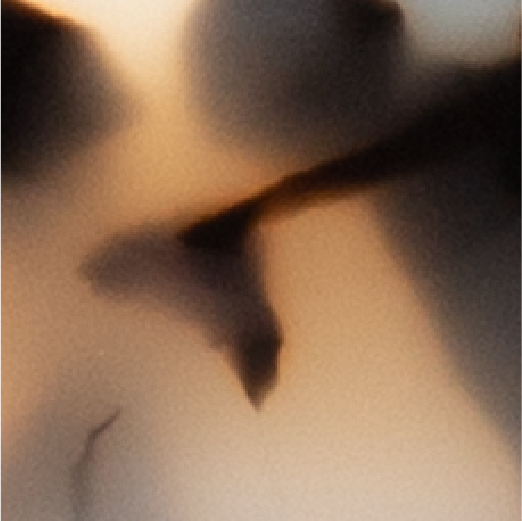 Cream Mottle Image