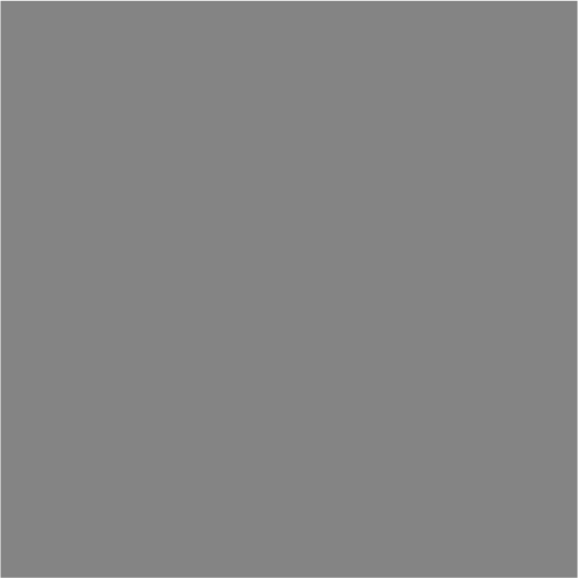 Grey Image