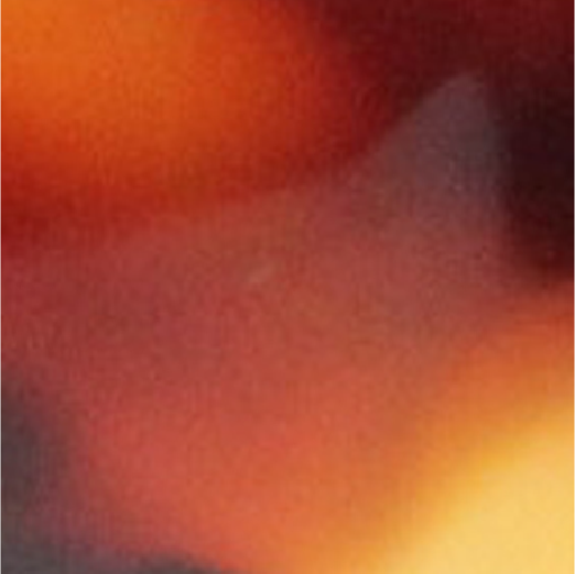 Light Tortoiseshell Image