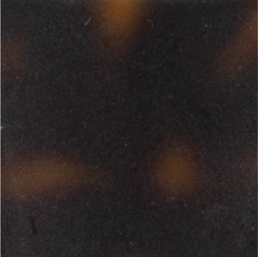 Matt Dark Tortoiseshell Image