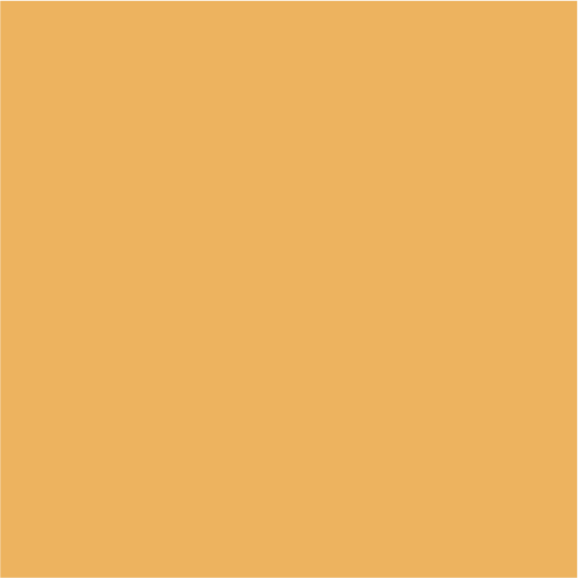 Tan Image