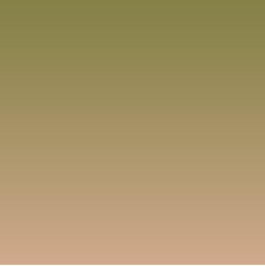 Two Tone Ochre Image